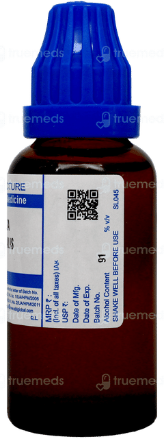 Sbl Blatta Orientalis Q Mother Tincture 30Ml